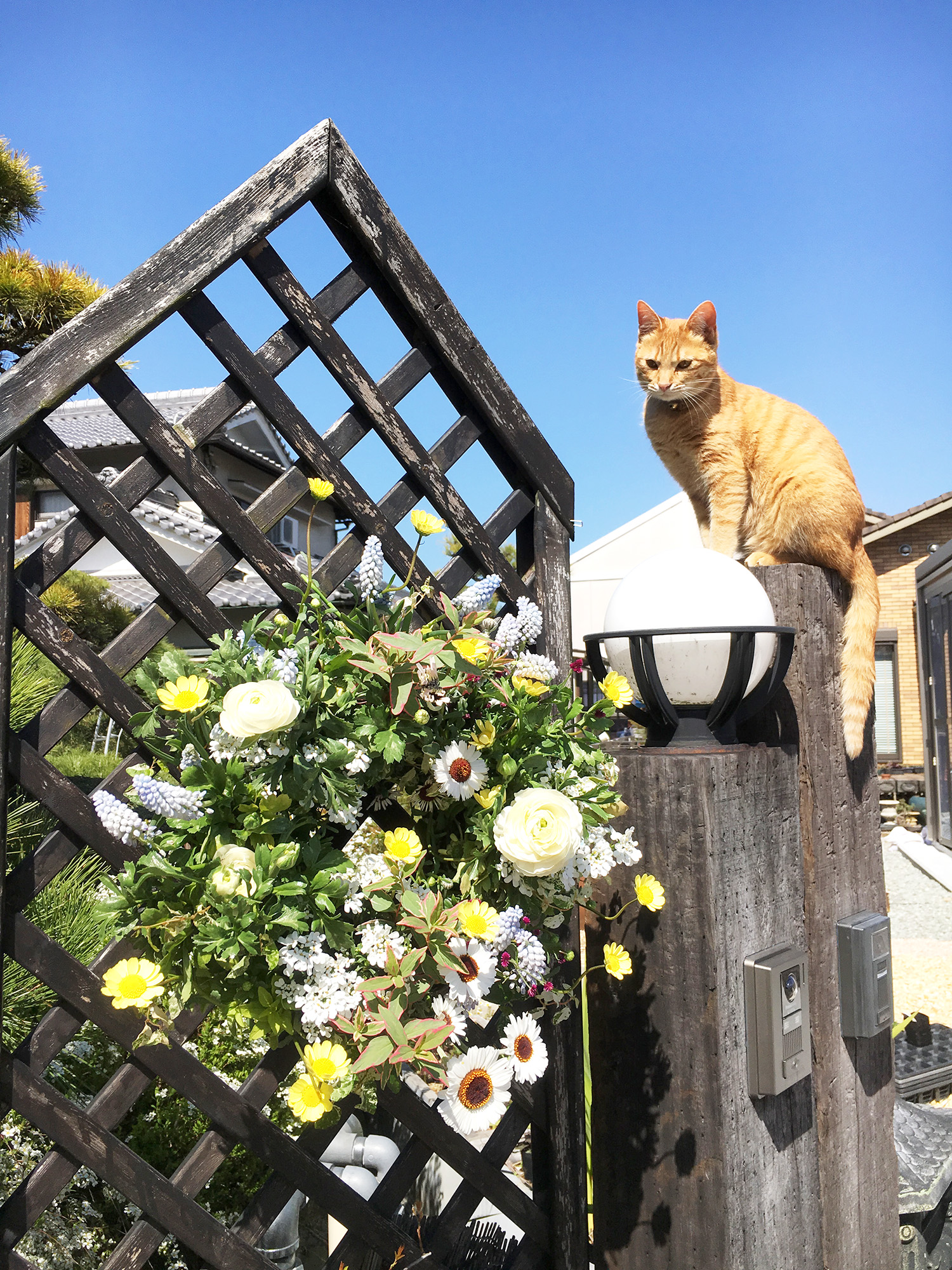 田中松壽園の仕事内容2